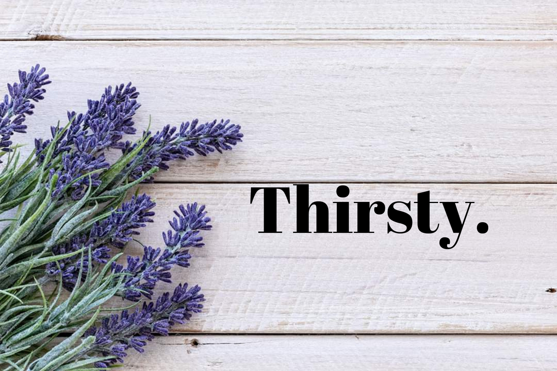 Thirsty