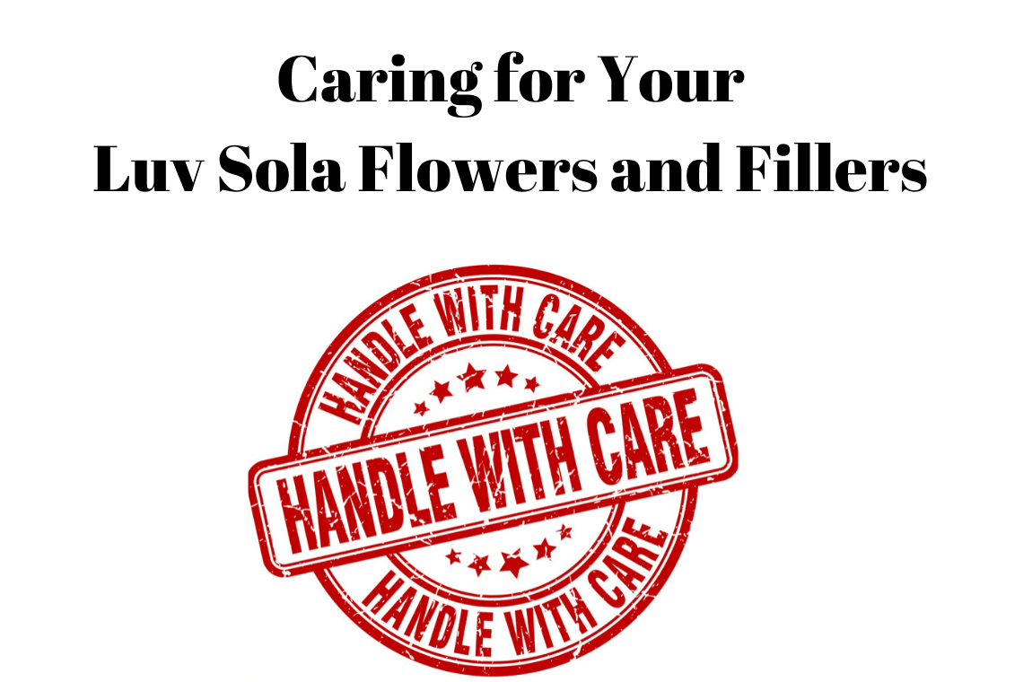 Caring for Your Luv Sola Flowers and Fillers