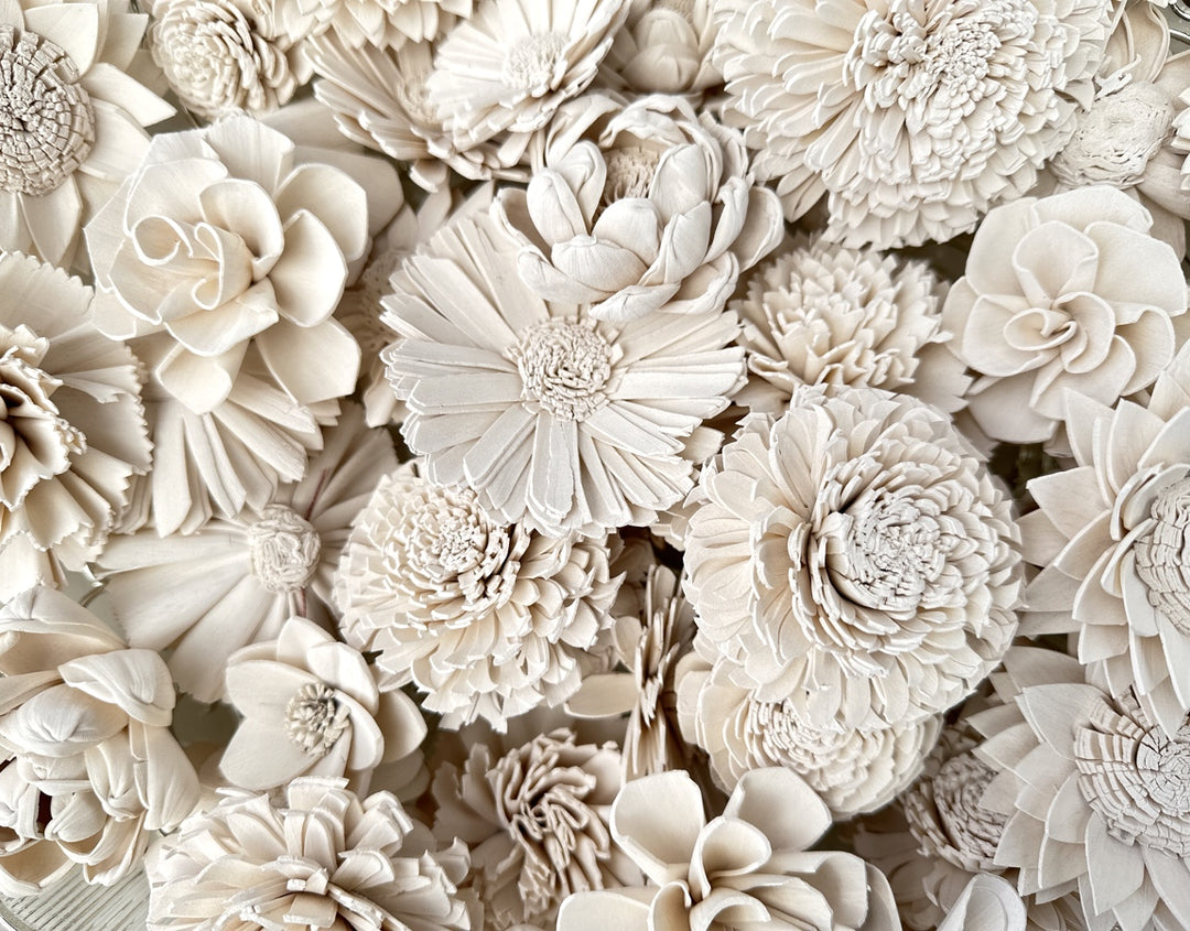 Sola Wood Flowers - Soft White Dyed Flowers - Luv Sola Flowers