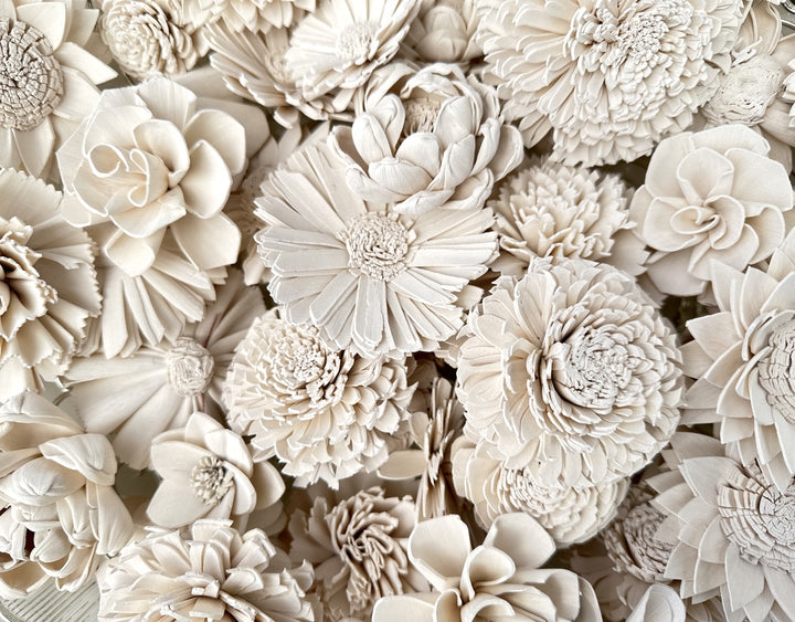 Sola Wood Flowers - Soft White Dyed Flowers - Luv Sola Flowers