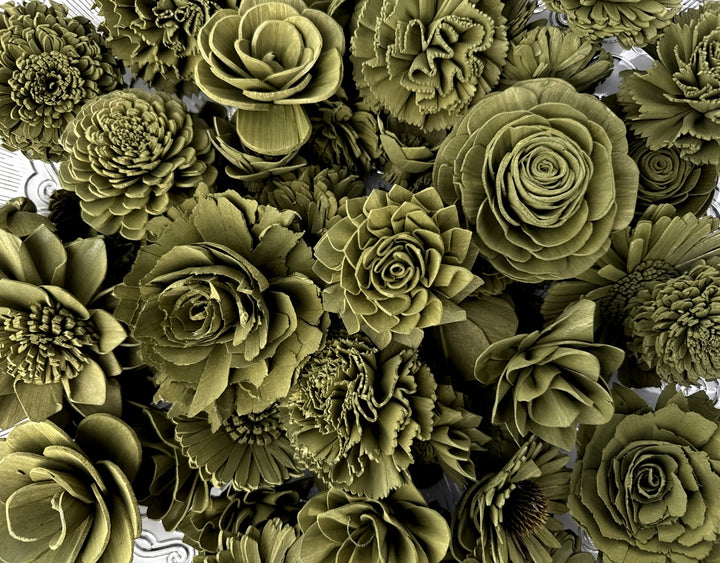 Sola Wood Flowers - Olive Green Dyed Flowers - Luv Sola Flowers