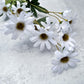 Daisy - Luv Sola Flowers - Faux Filler