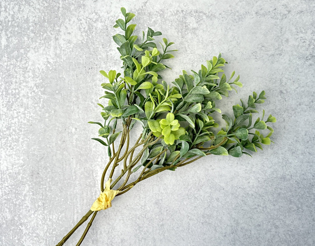 Frosted Boxwood Stems Faux - Luv Sola Flowers - Faux Filler