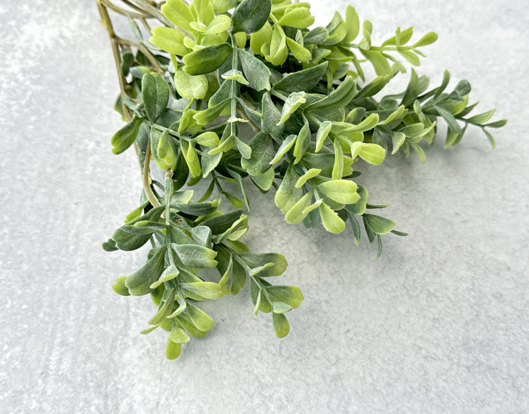 Frosted Boxwood Stems Faux - Luv Sola Flowers - Faux Filler