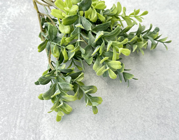 Frosted Boxwood Stems Faux - Luv Sola Flowers - Faux Filler