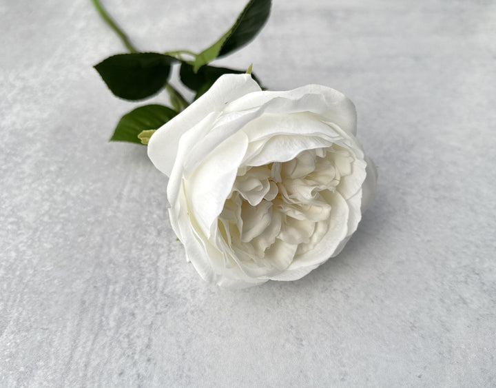 Real Touch English Rose - White - Luv Sola Flowers - Faux Filler