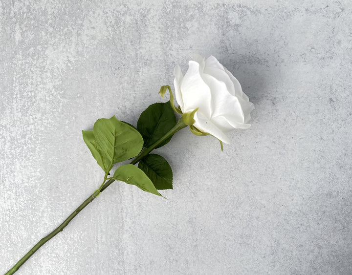 Real Touch English Rose - White - Luv Sola Flowers - Faux Filler