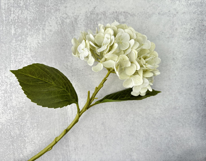 Real Touch Hydrangea - Light Green - Luv Sola Flowers - Faux Filler