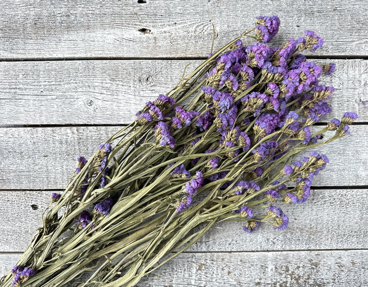 Statice - Luv Sola Flowers - Filler