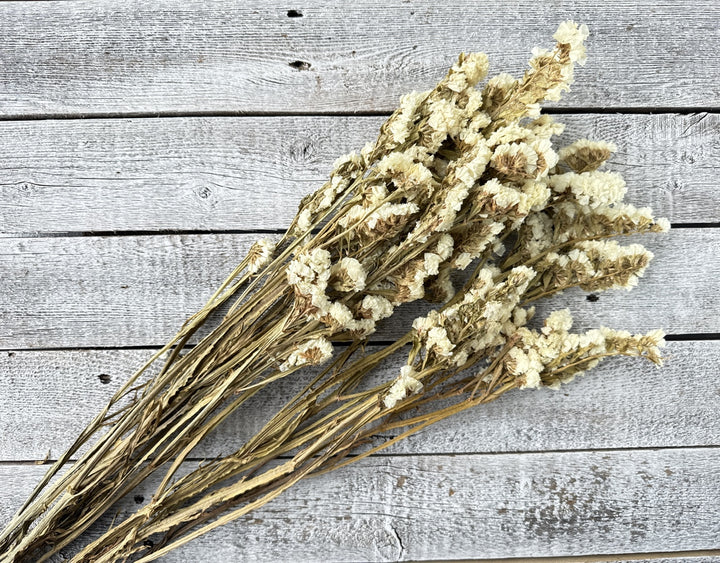 Statice - Luv Sola Flowers - Filler