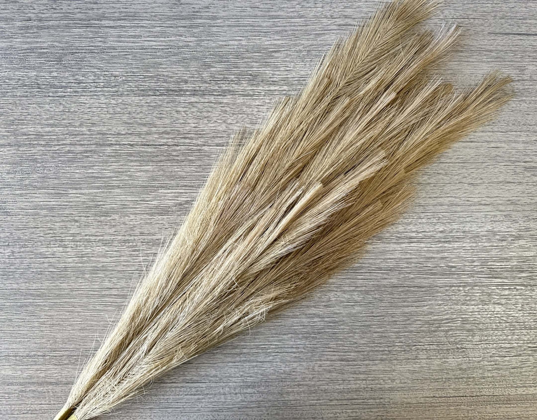 Tall Faux Pampas Grass - Natural - Luv Sola Flowers