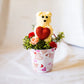 Sola Wood Flowers - Valentine's Day Bear Raw - Luv Sola Flowers