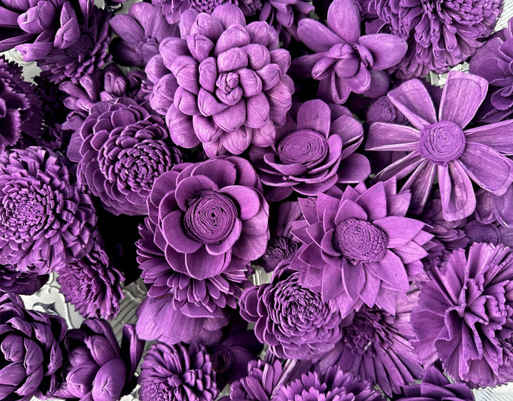 Sola Wood Flowers - Plum Dyed Flowers - Luv Sola Flowers