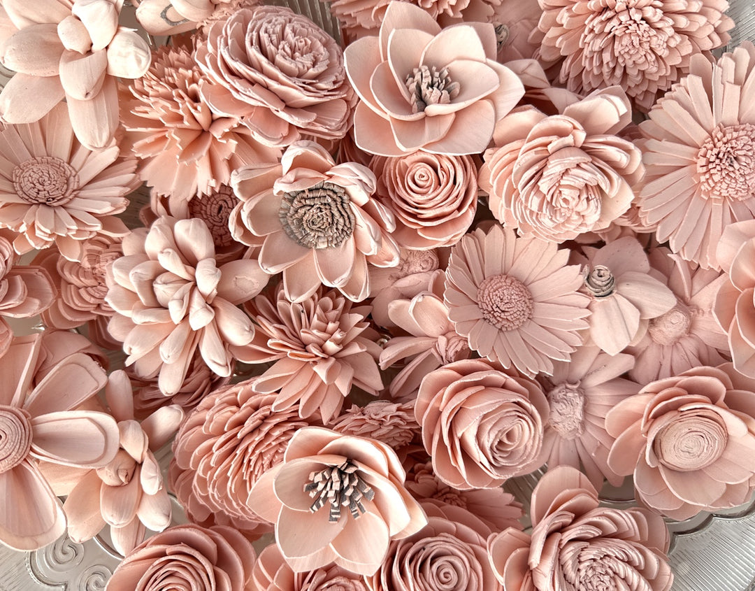Sola Wood Flowers - Soft Pink Dyed Flowers - Luv Sola Flowers