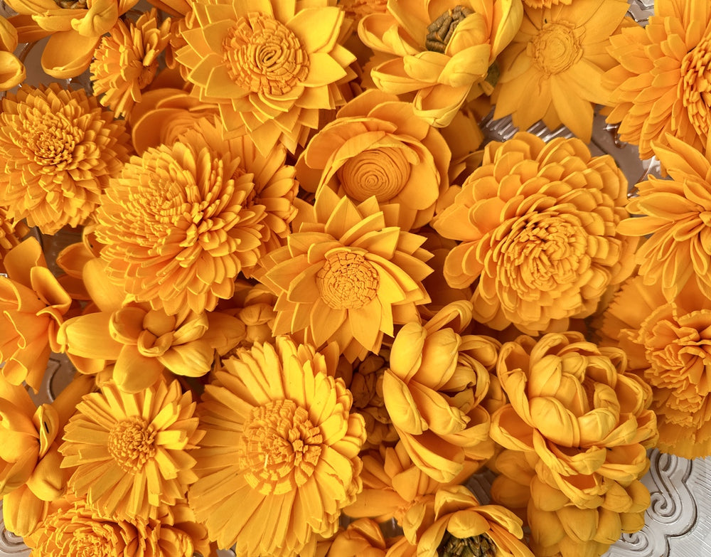 Sola Wood Flowers - Sunflower Dyed Flowers - Luv Sola Flowers