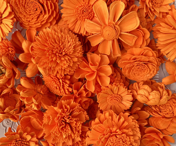 Sola Wood Flowers - Orange Dyed Flowers - Luv Sola Flowers