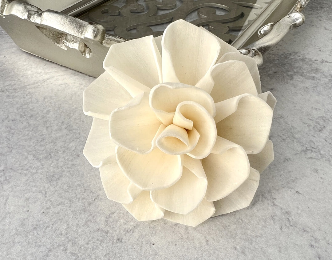 Sola Wood Flowers - Abigail - Luv Sola Flowers