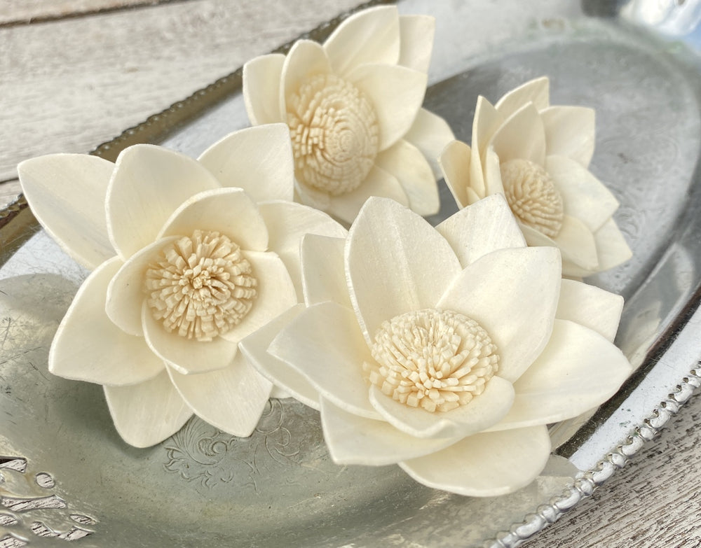 Sola Wood Flowers - Amy