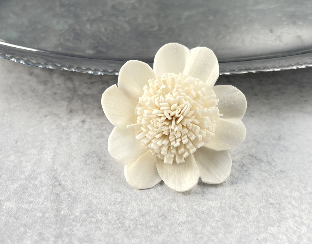 Sola Wood Flowers - Apple Blossom - Luv Sola Flowers