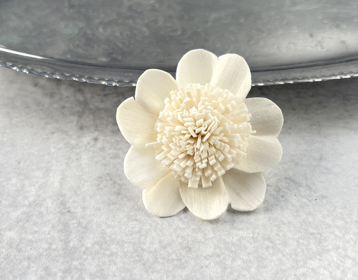 Sola Wood Flowers - Apple Blossom - Luv Sola Flowers