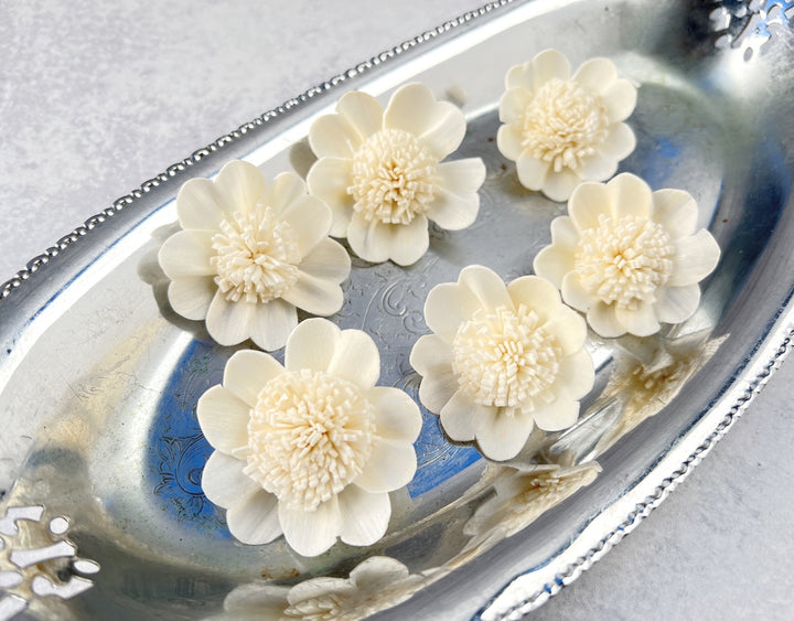 Sola Wood Flowers - Apple Blossom - Luv Sola Flowers