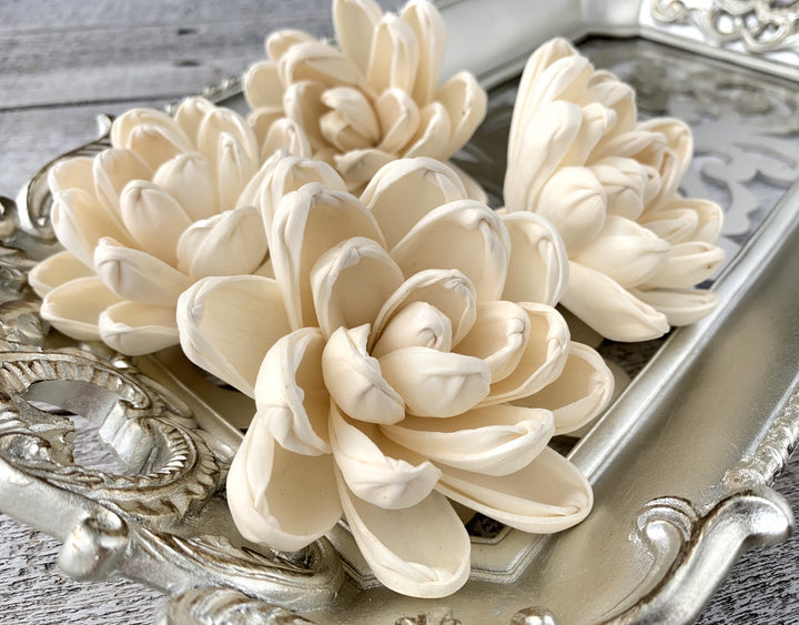 Sola Wood Flowers - Aspen