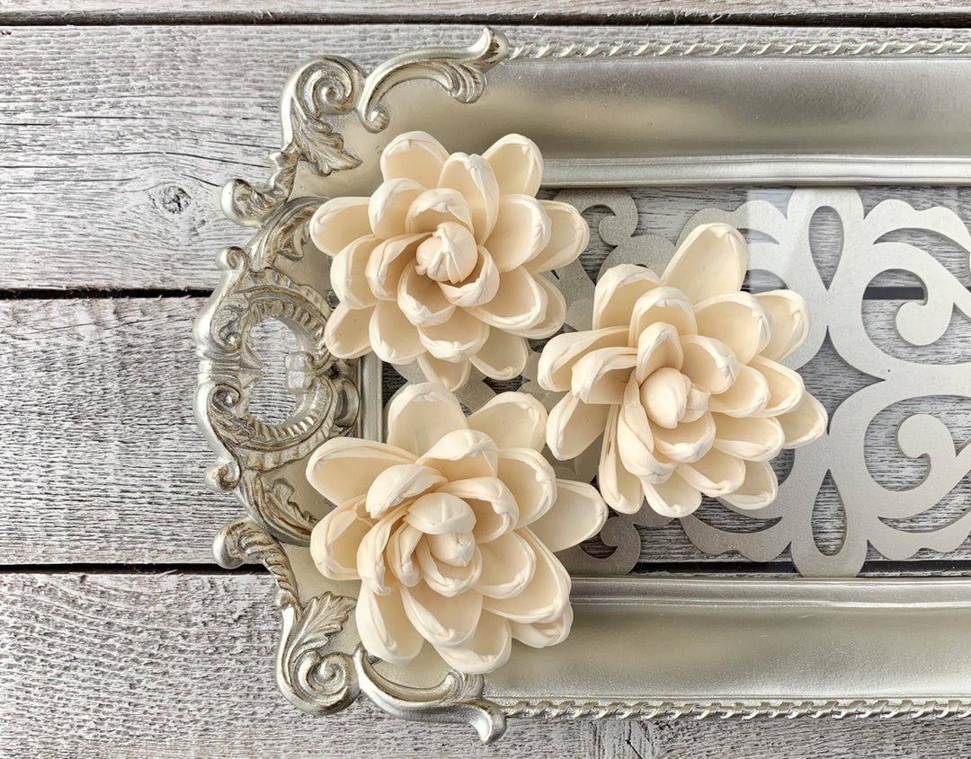 Sola Wood Flowers - Aspen