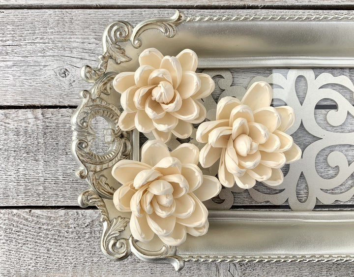 Sola Wood Flowers - Aspen