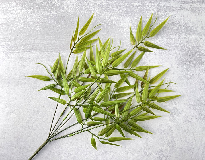 Bamboo Leaf - Luv Sola Flowers - Faux Filler