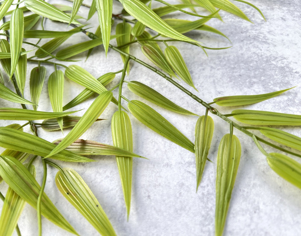 Bamboo Leaf - Luv Sola Flowers - Faux Filler