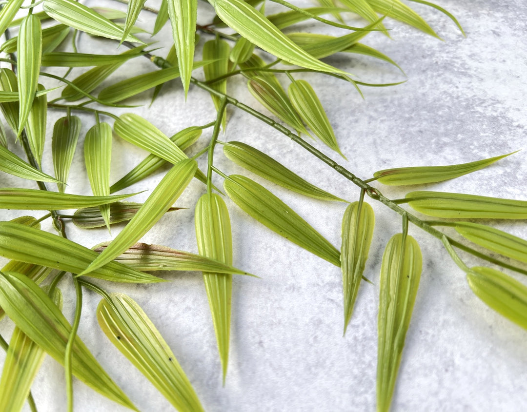 Bamboo Leaf - Luv Sola Flowers - Faux Filler