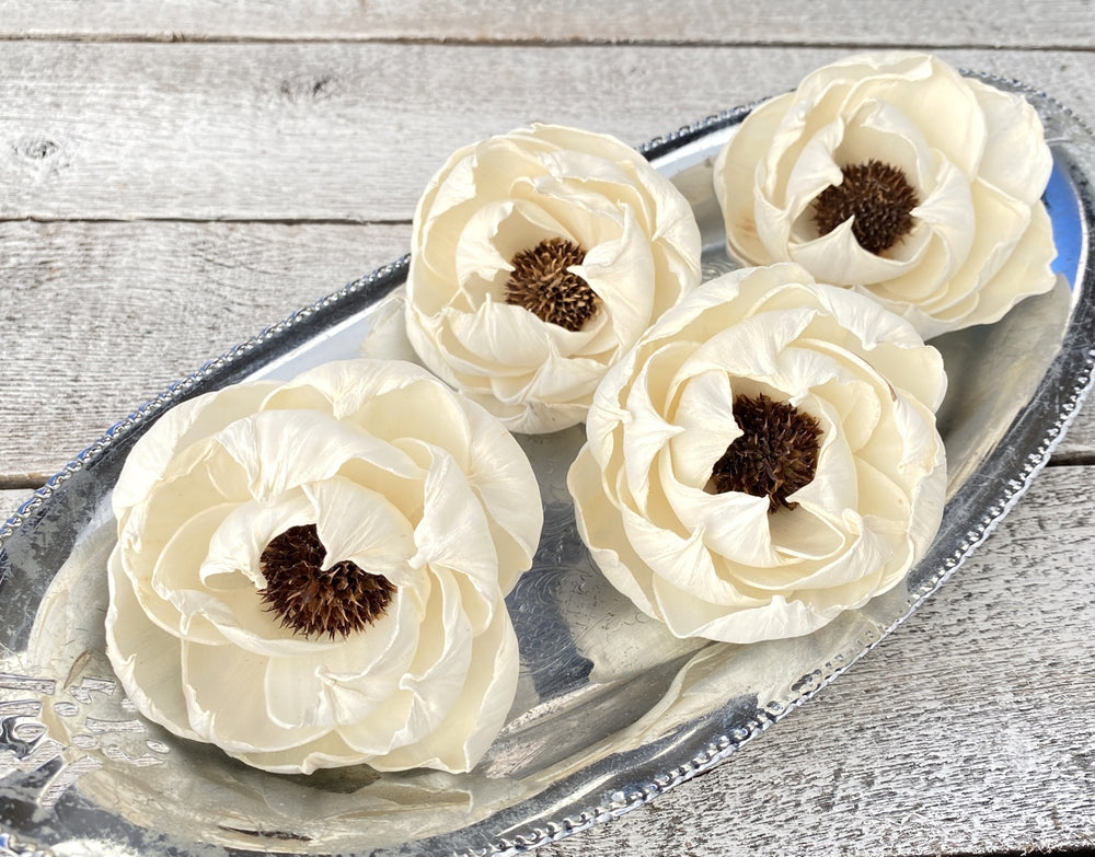 Sola Wood Flowers - Black Pearl - Luv Sola Flowers