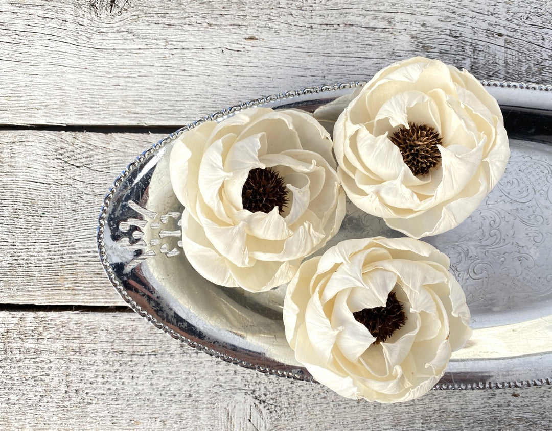 Sola Wood Flowers - Black Pearl - Luv Sola Flowers