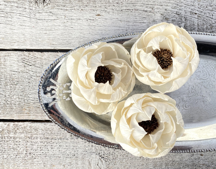 Sola Wood Flowers - Black Pearl - Luv Sola Flowers