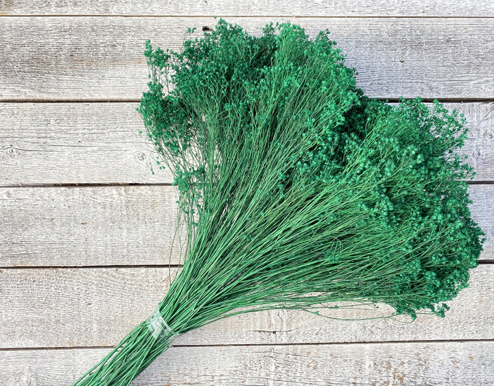 Broom Bloom - Luv Sola Flowers - Filler