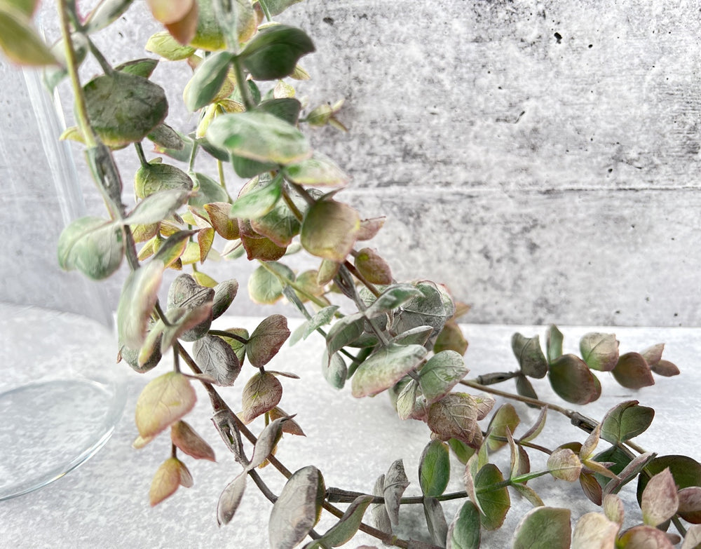 Cascading Baby Eucalyptus - Luv Sola Flowers - Faux Filler