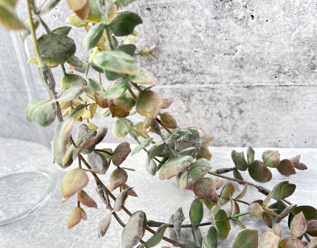 Cascading Baby Eucalyptus - Luv Sola Flowers - Faux Filler