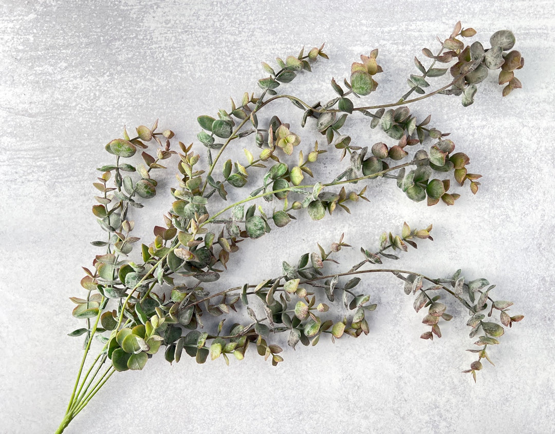 Cascading Baby Eucalyptus - Luv Sola Flowers - Faux Filler