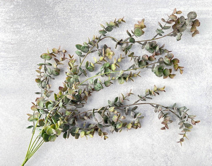 Cascading Baby Eucalyptus - Luv Sola Flowers - Faux Filler