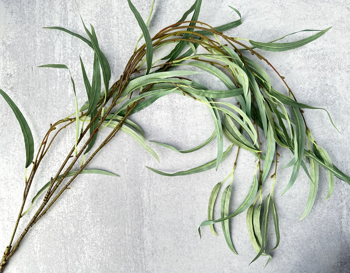 Cascading Willow Eucalyptus - Luv Sola Flowers - Faux Filler