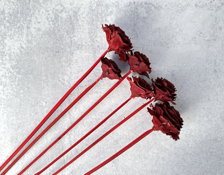 Cedar Rose Red - Luv Sola Flowers - Dried Botanicals