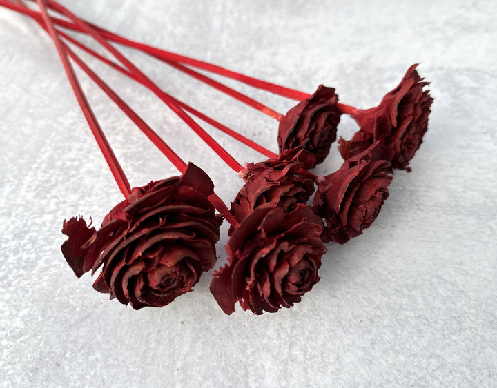 Cedar Rose Red - Luv Sola Flowers - Dried Botanicals