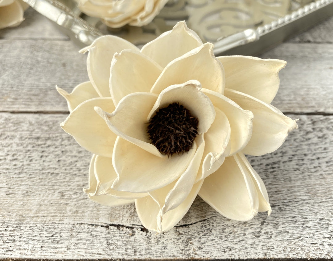 Sola Wood Flowers - Closed Eclipse