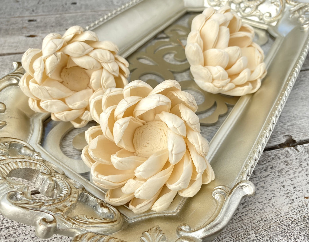 Sola Wood Flowers - Cosmos