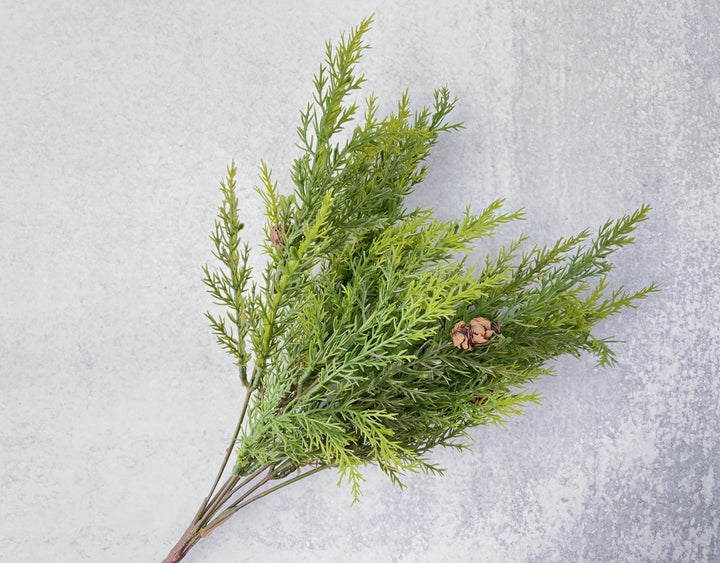 Cyprus Bush Faux - Luv Sola Flowers - Faux Filler