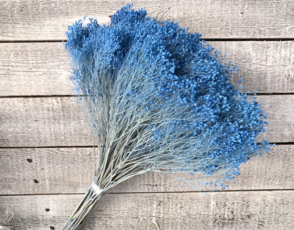 Dried Baby's Breath - Luv Sola Flowers - Filler