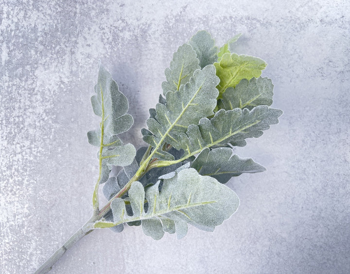 Dusty Miller Stem Faux - Luv Sola Flowers - Faux Filler