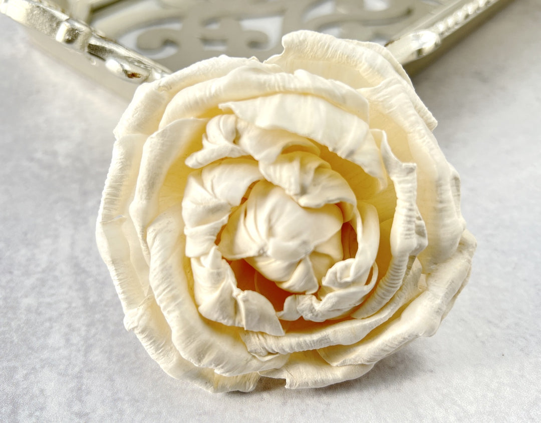 Sola Wood Flowers - Enchanted Rose - Luv Sola Flowers