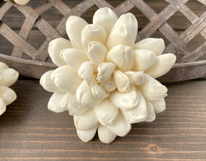 Sola Wood Flowers - Escape