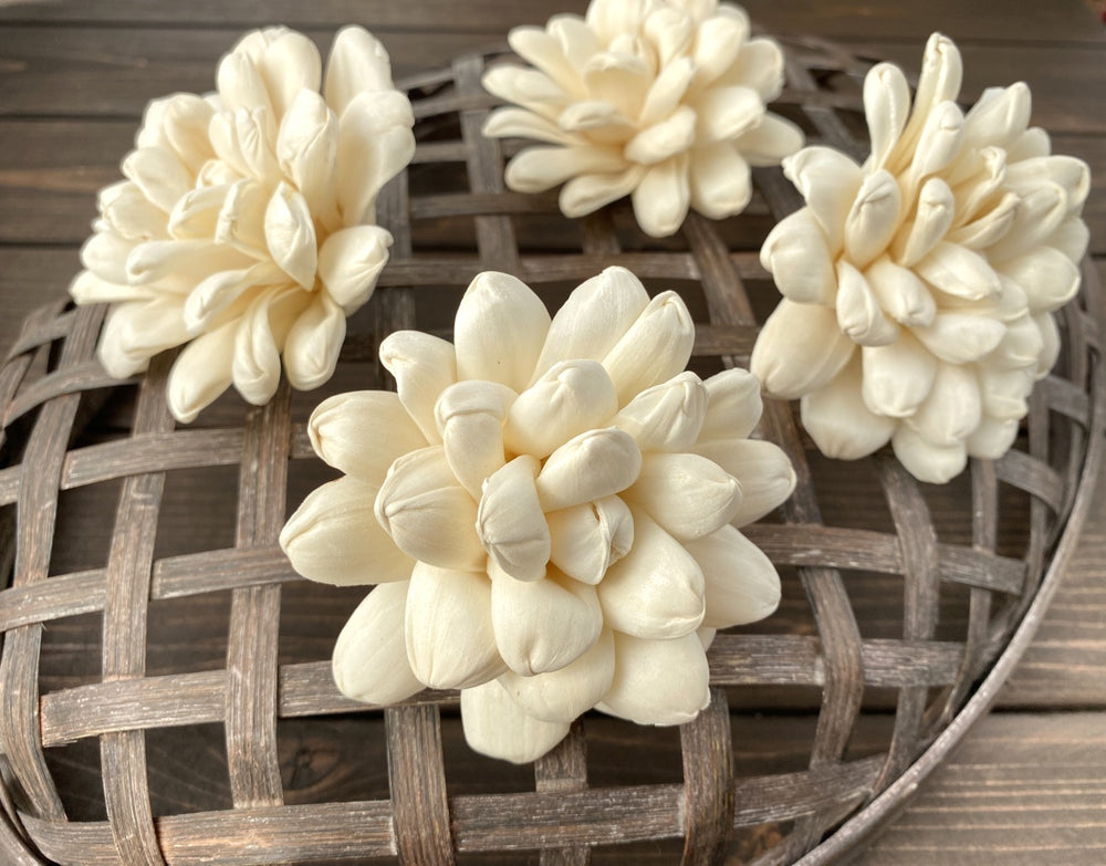 Sola Wood Flowers - Escape